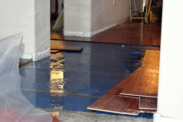 Professional Crawl Space Water Removal technician working in Revere, MA